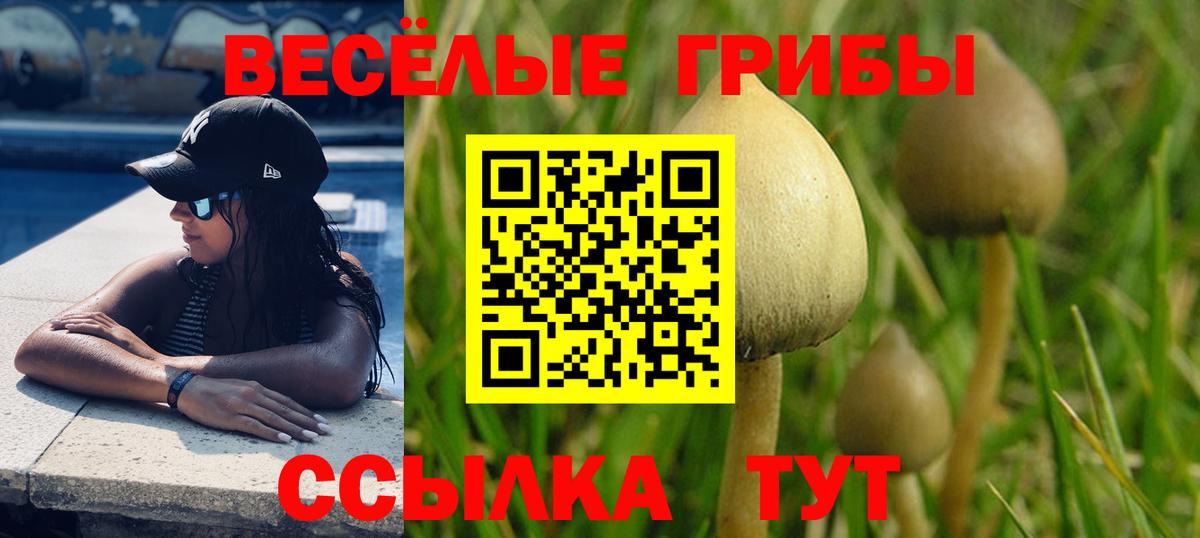 Псилоцибиновые грибы прущие грибы  Вход с VPN  Псилоцибиновые грибы Cubensis  Сергиев Посад 