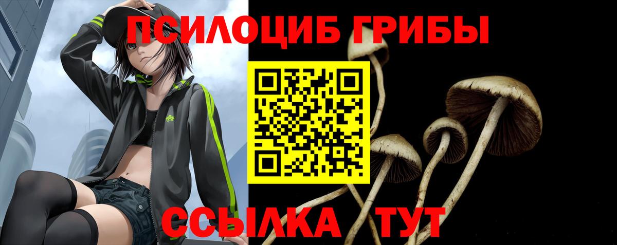 Псилоцибиновые грибы MAGIC MUSHROOMS Сергиев Посад